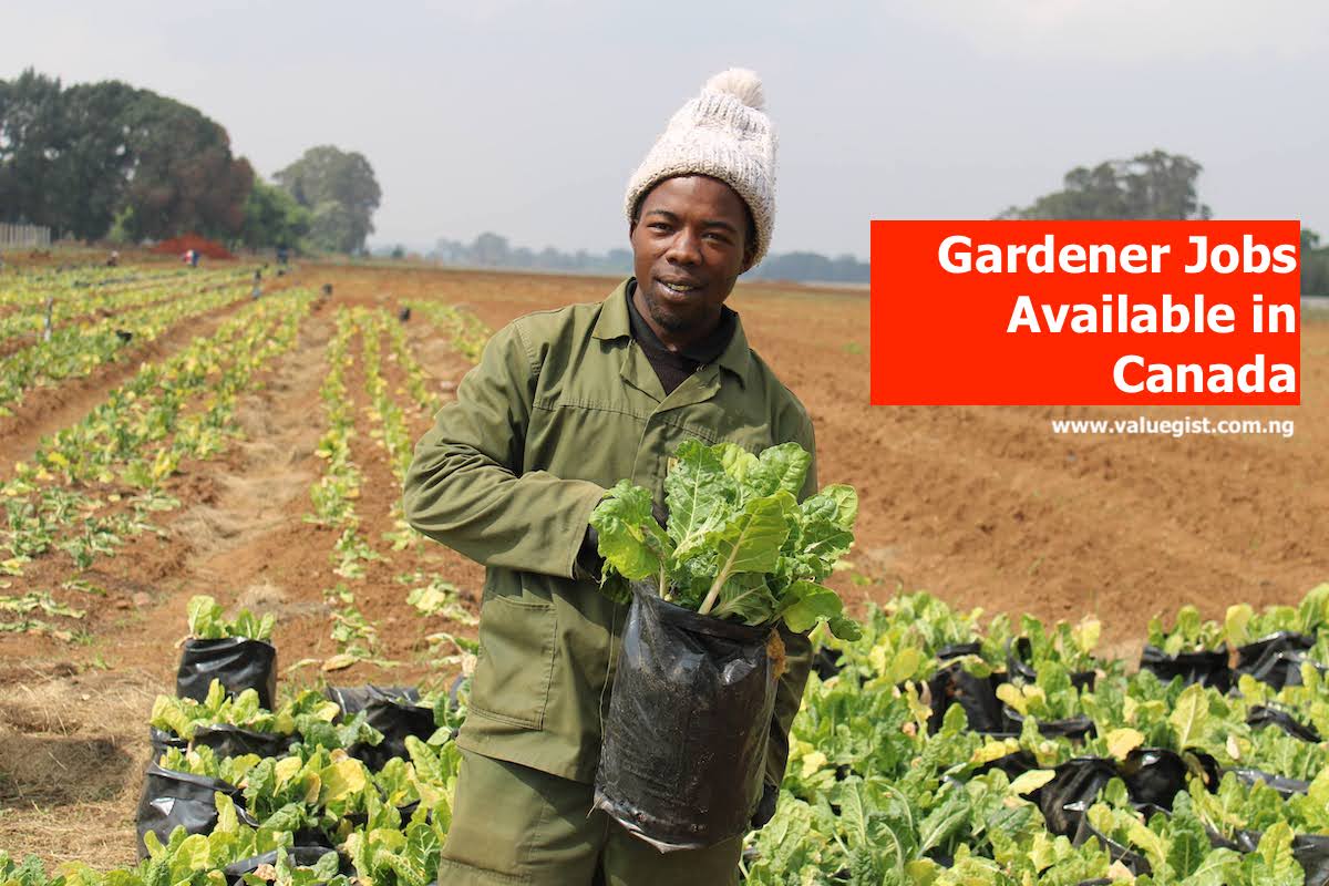 Gardener Jobs Available in Canada