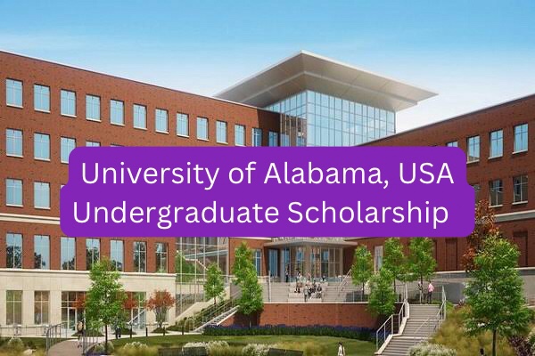 UAB Scholarships for International Students