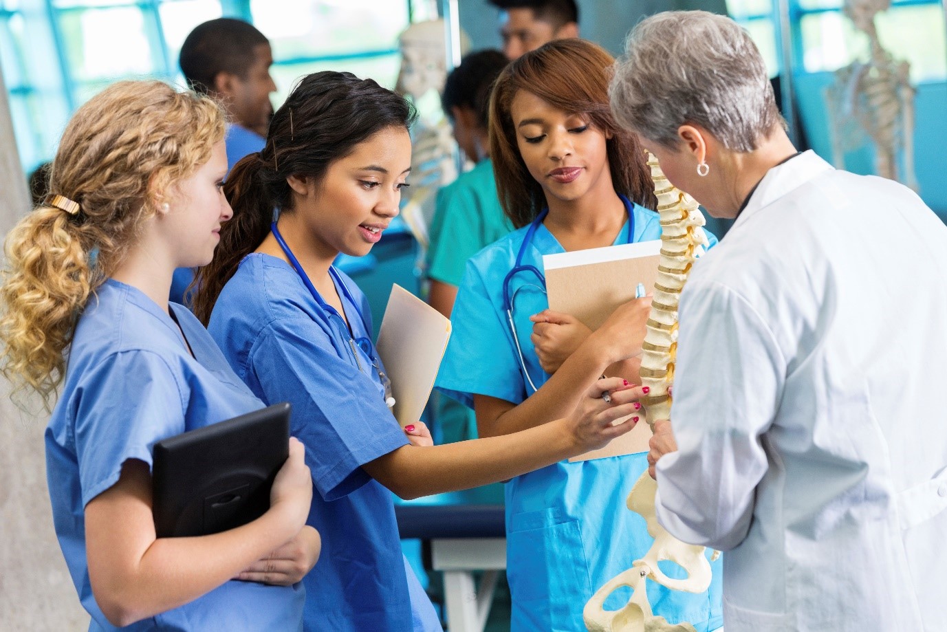 Best Universities to Study Medicine