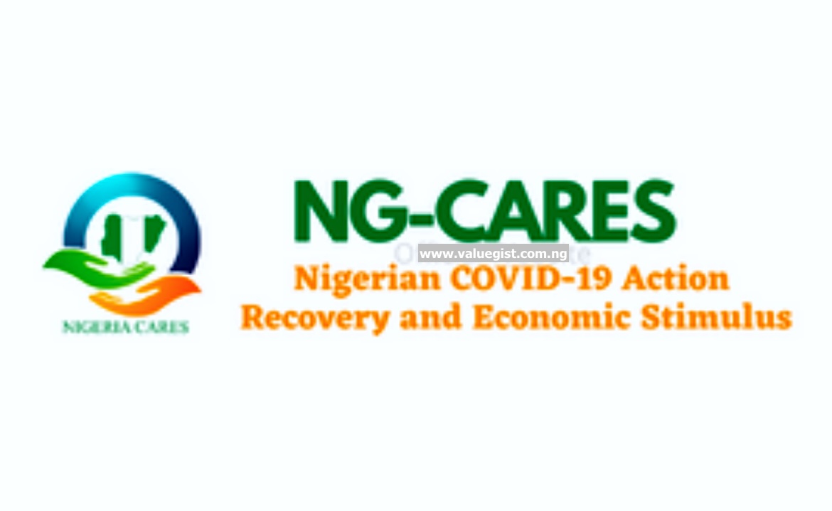 How to Apply for the NG-CARES Grant Program