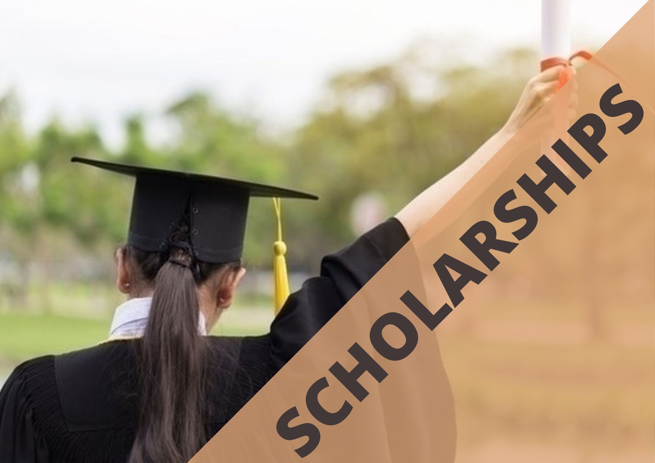 Scholarships To Apply For In 2024