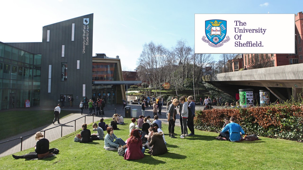 Sheffield Engineering Excellence Scholarship