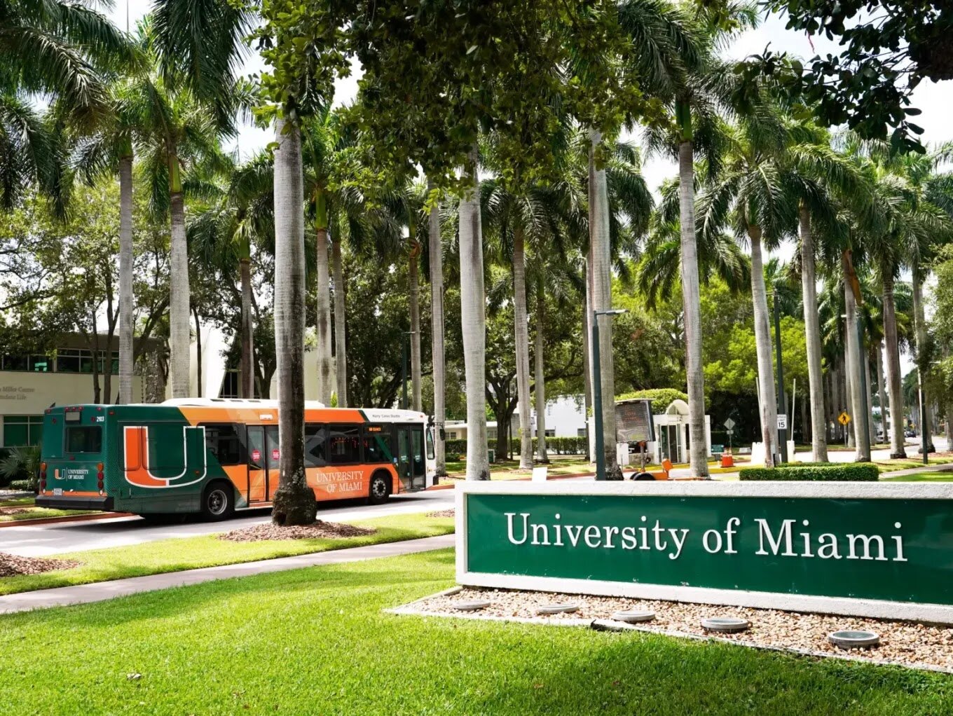 University of Miami Scholarship