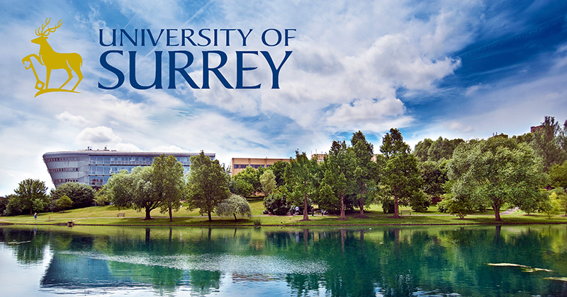 University of Surrey Battersea Scholarship