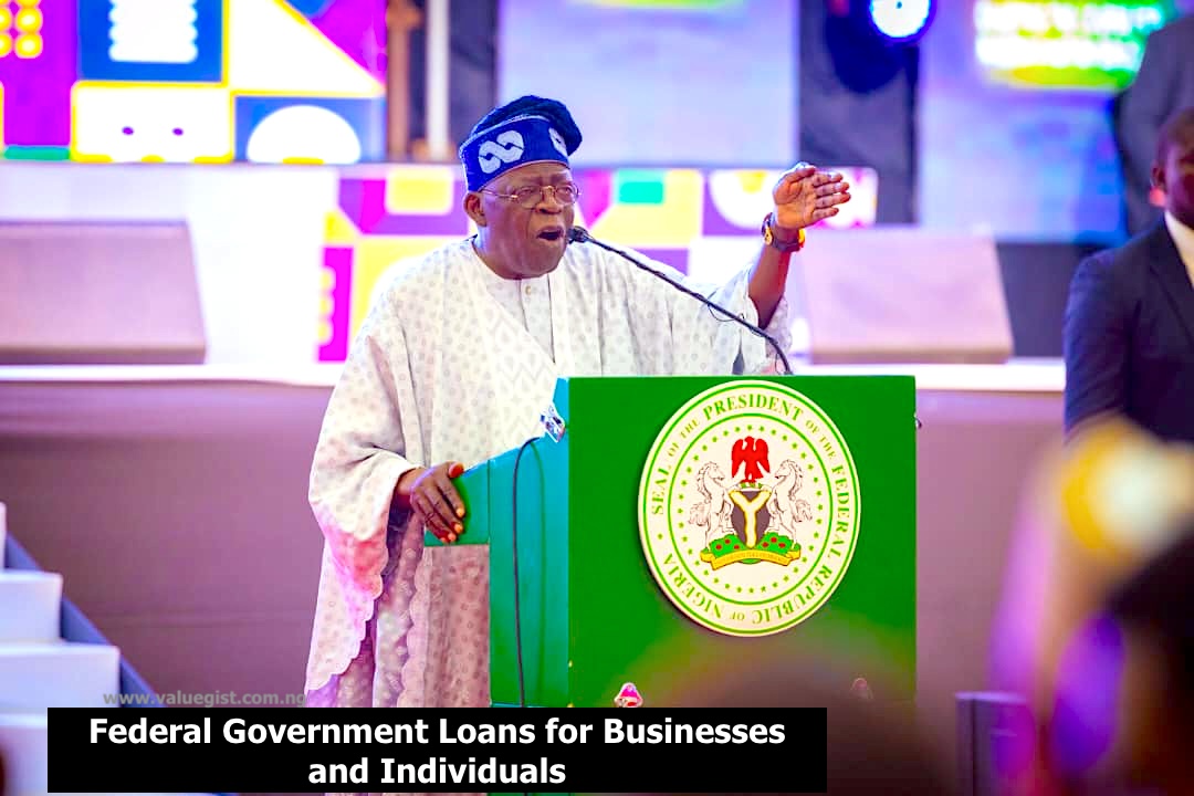 Federal Government Loan Schemes