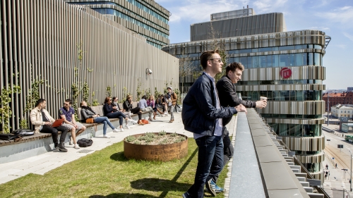 Malmo University Master's Scholarship
